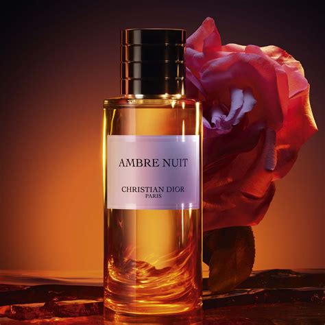 dior bougie ambre nuit|Ambre Nuit Dior for women and men .